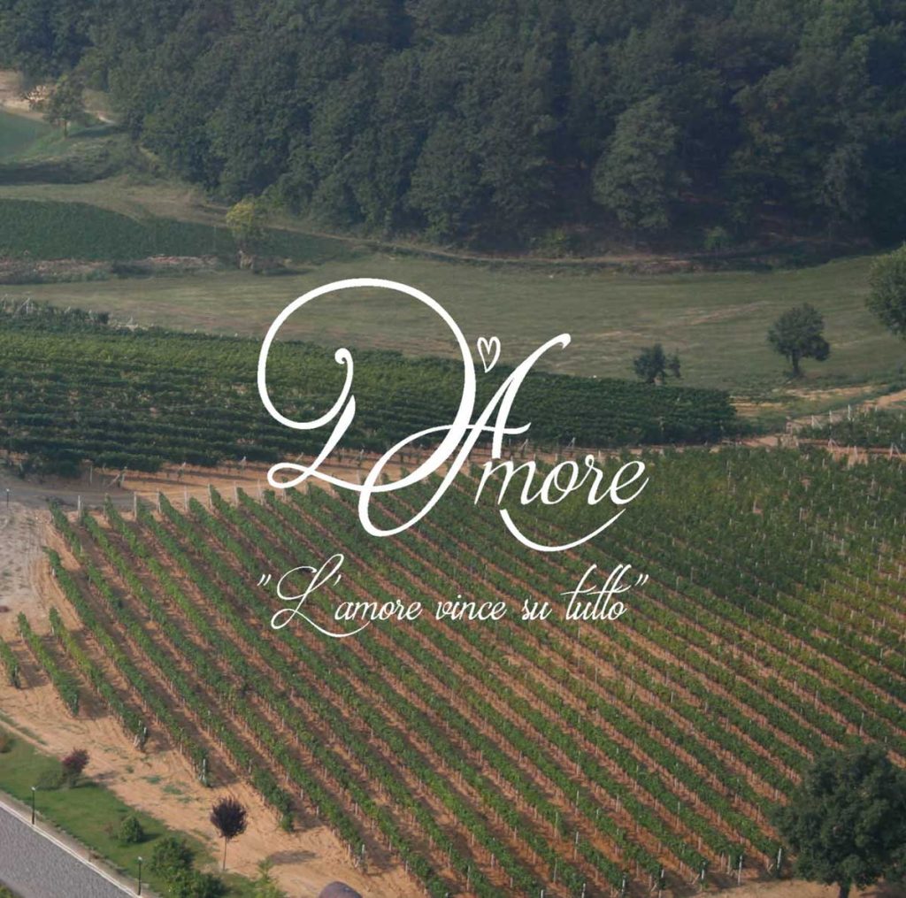 D'Amore logo con panoramica vigne